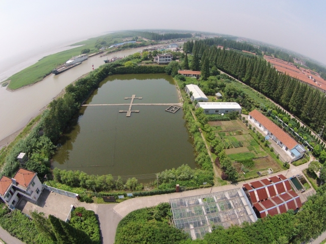 长江口站全景 长江口站全景